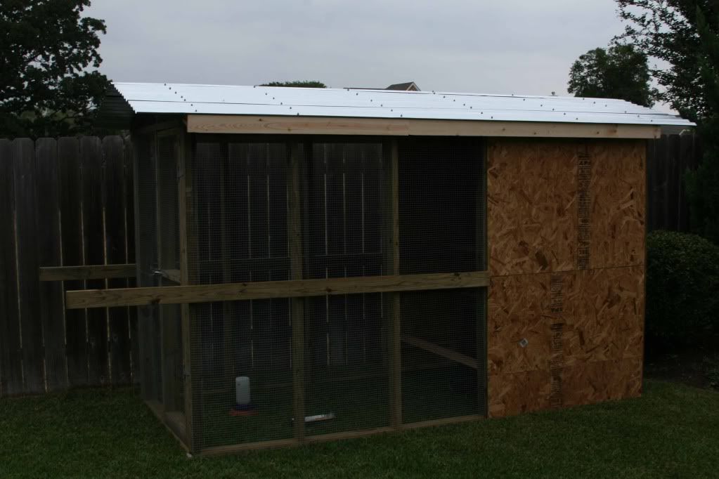 Chicken Tractor ! Keep predators from digging? BackYard Chickens Learn How to Raise Chickens